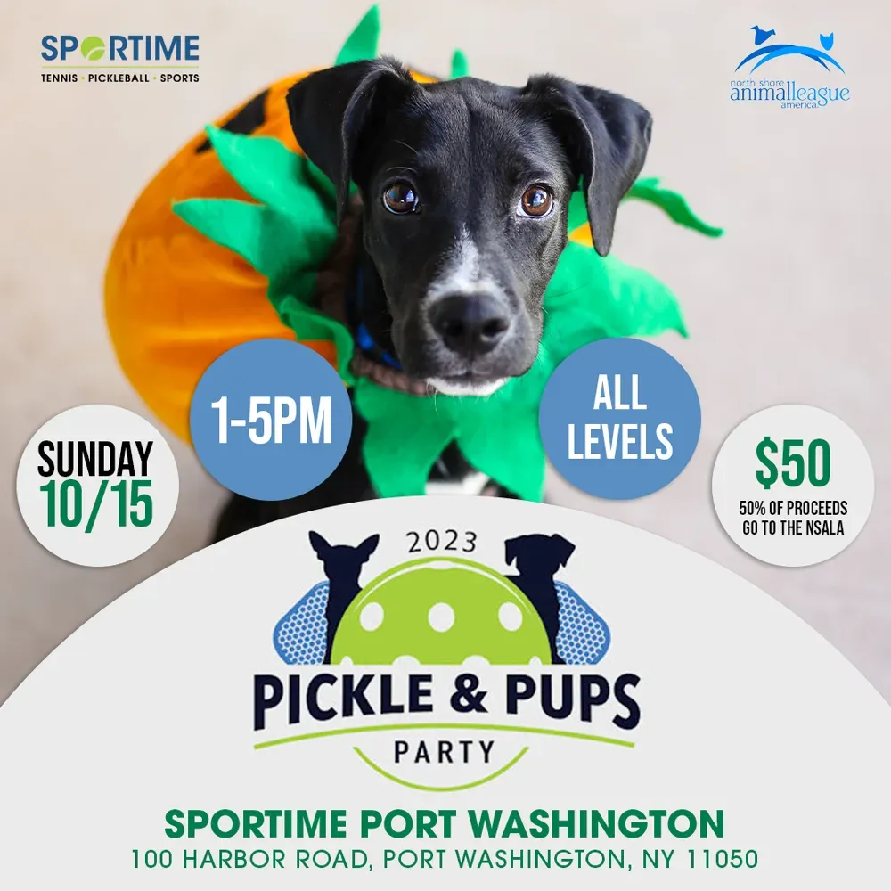SPORTIME Pickleball social